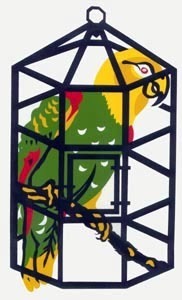 Polly The Elusive Parrot