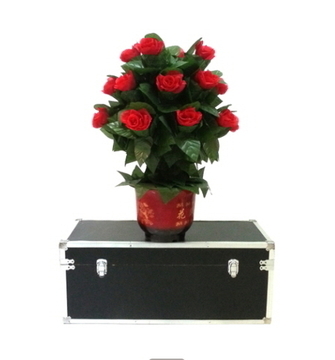 자동으로 피는 꽃 <소> (Automatic Flowering Plant) 