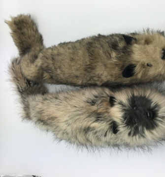 Reality Raccoon 
