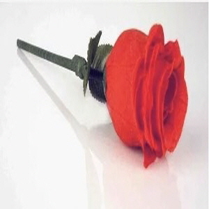 The Rose 